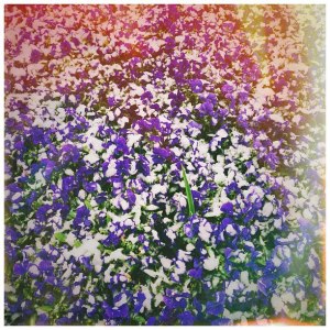 562212_10101025514742415_860558205_n